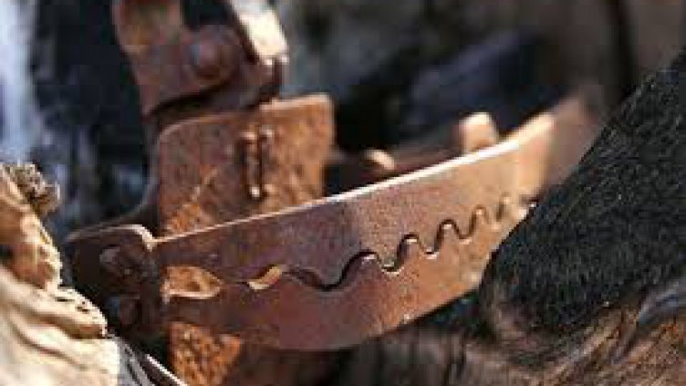 До 12 февруари 2015 г. махат незаконните стационарни капани за дивеч