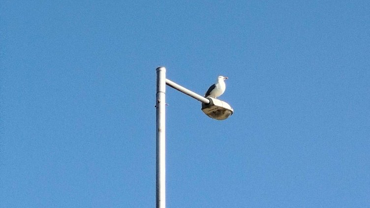 Хубаво време в страната днес и утре