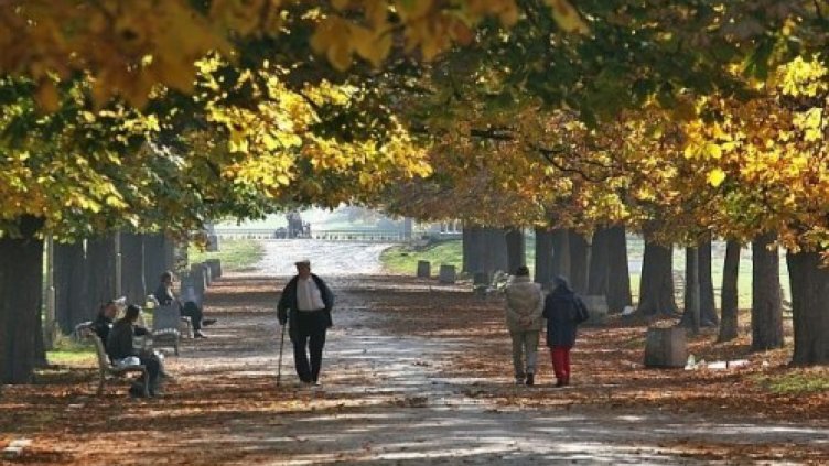 През целия ден ще духа умерен вятър