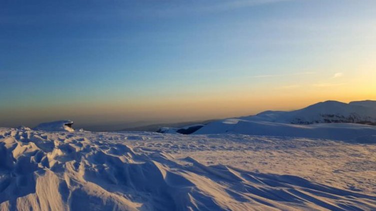 Издирваните баща и син били на Ботев по маратонки