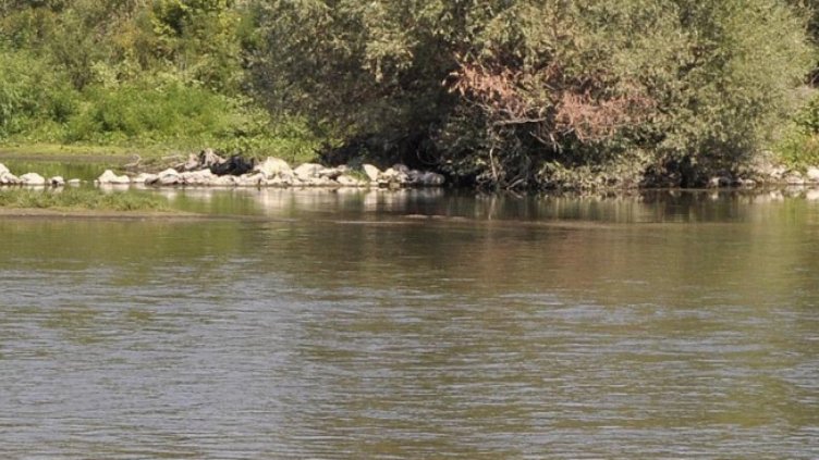 12-годишно момче се удави в река Вит 