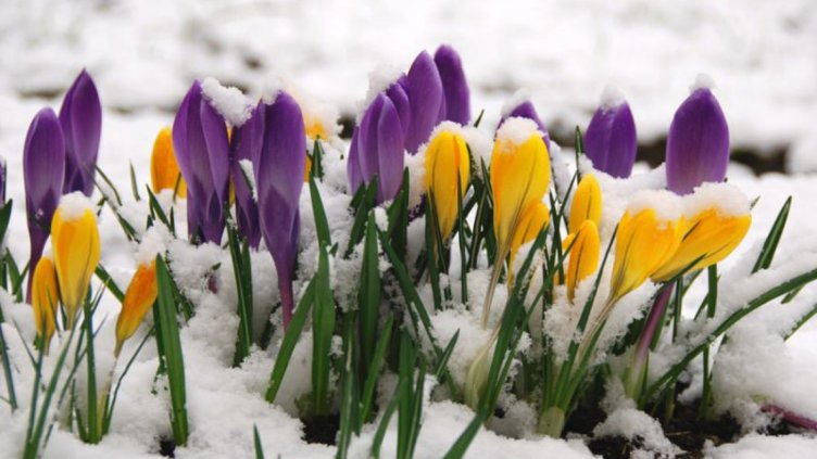 Какво ви очаква през 2019 според месеца ви на раждане - ФЕВРУАРИ