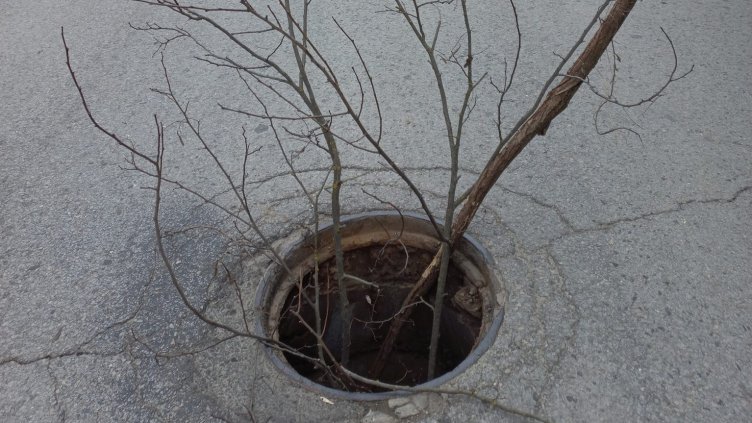 Клон пази шофьорите на слизане от "Хемус" към Слънчево