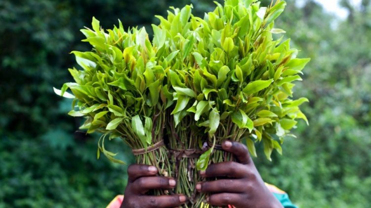 Четирите гражданки на Израел, хванати с наркотици на летище Варна, с условни присъди