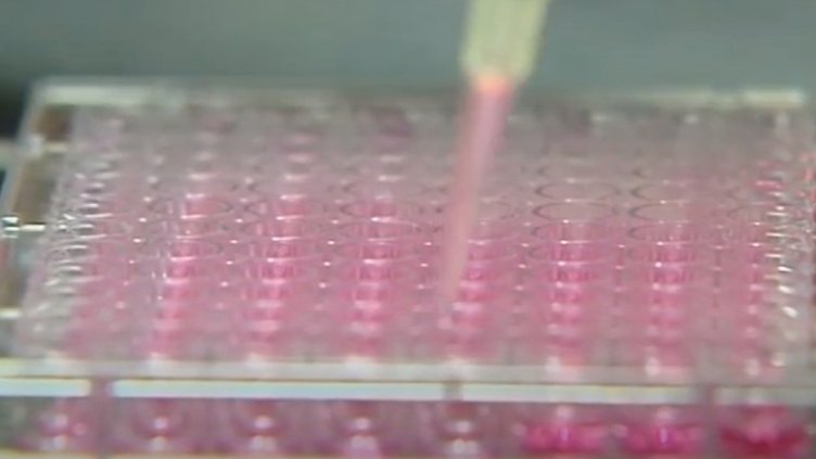 Ваксините на Пфайзер и Модерна - какви са приликите и разликите