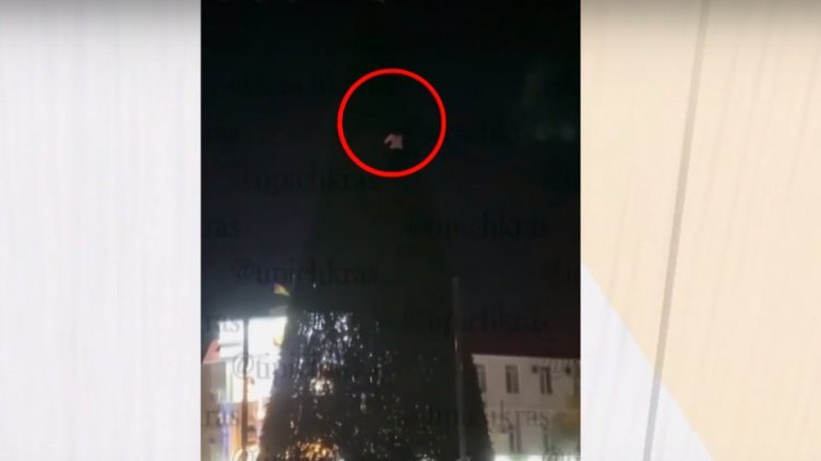 Пияна рускиня се качи на върха на 20-метрова елха (ВИДЕО)