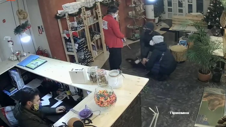 Хитреци преметнаха ветеринарна клиника с 4 200 лв.