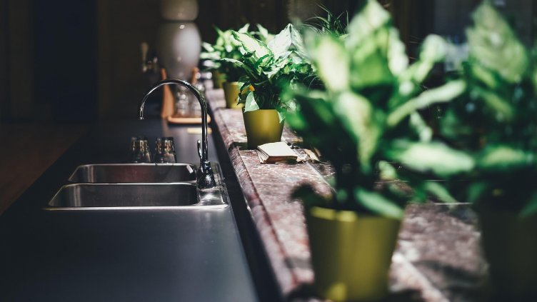 Снимка: Pixabay