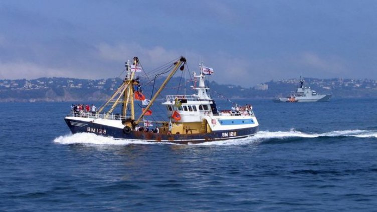 Намаляват запасите от риба в Черно море