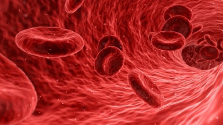 Днес е Световният ден на хемофилията