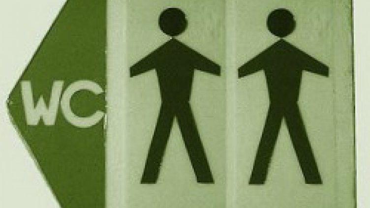 Градска тоалетна развесели съветници