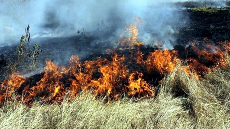 Снимката е илюстративна.