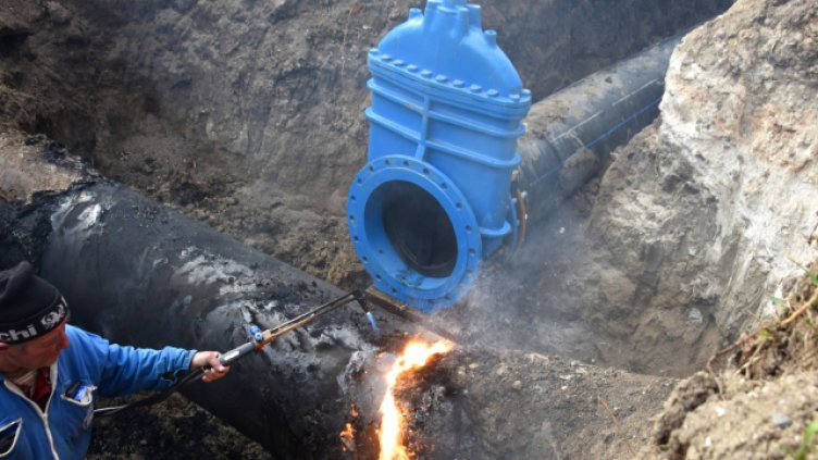 Снимка: Пламен Гутинов