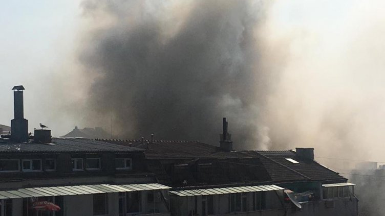 Снимки: Мариана Стойкова