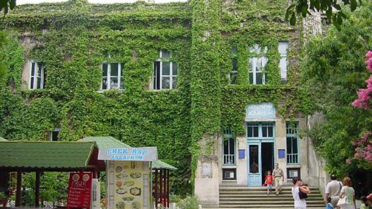 Варненският аквариум отваря утре врати