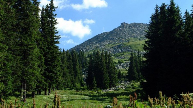 Дъжд, гръмотевици, слънце... май май няма да е много май 