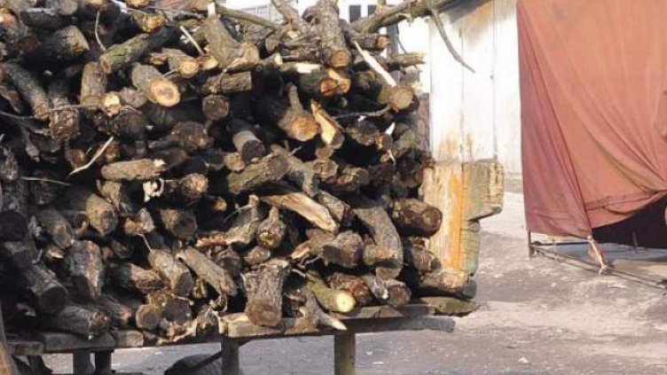 Снимката е илюстративна.