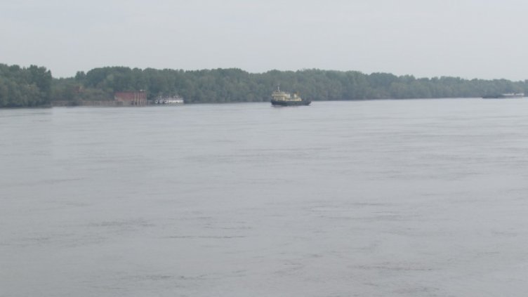 50-годишен моряк се удави в Дунав