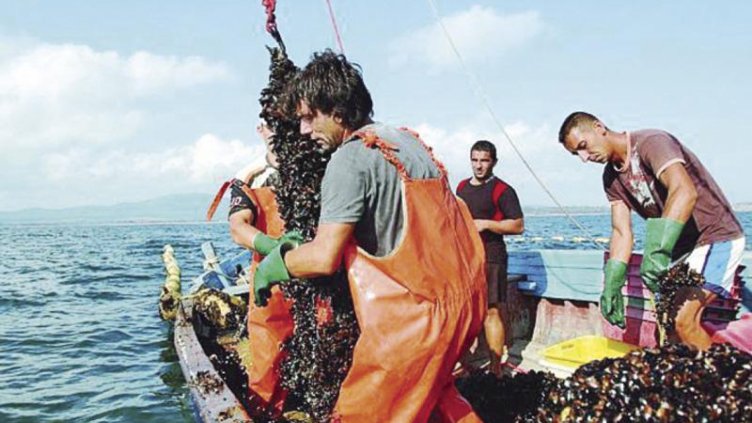 Над 36,2 млн. евро ни дават за инвестиции в аквакултури