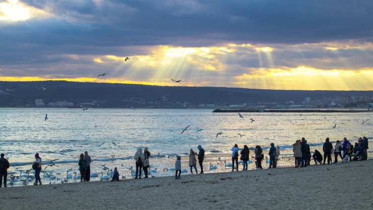 Снимка: Pixabay/Flamma_Vlavius