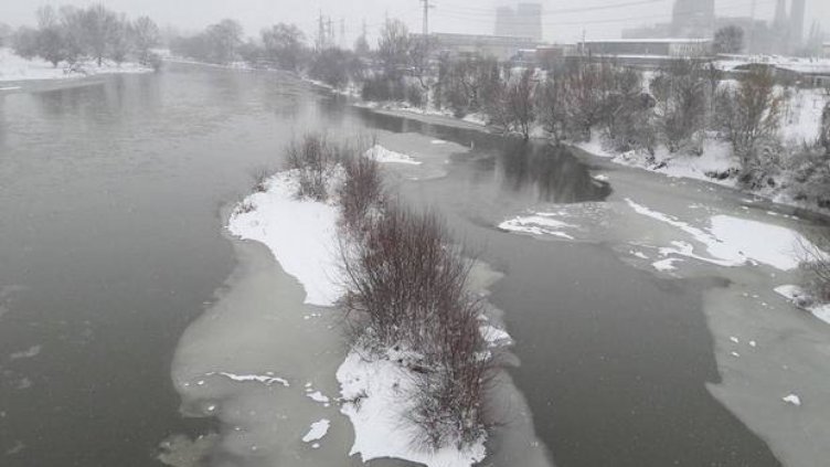 Снимка Дарик