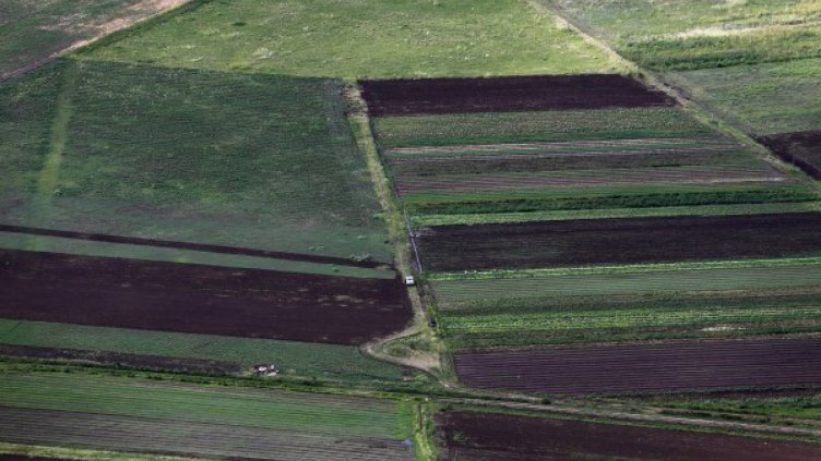 Незаконно офроуд състезание унищожи посеви за стотици