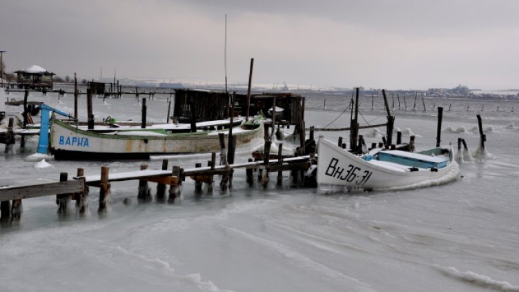 Снимка Пламен Гутинов, архив