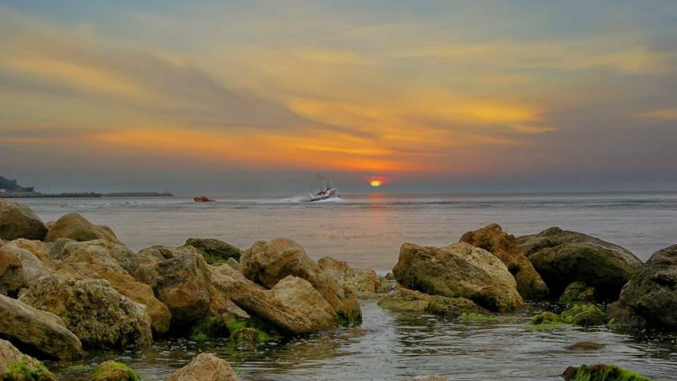 снимка: Ели Маринова