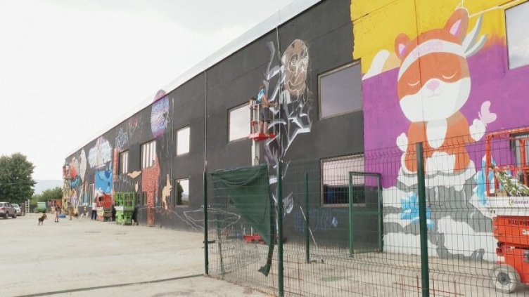 Артисти украсиха с графити приют за бездомни животни край Девня