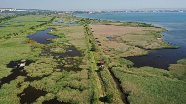 Отбелязваме Световния ден на влажните зони