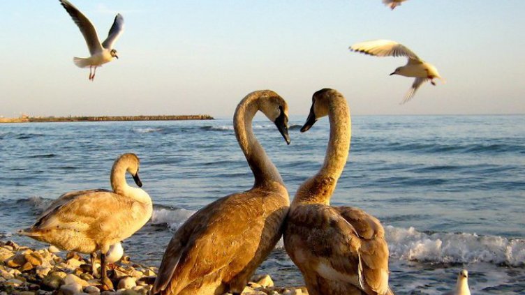 Снимка Ели Маринова