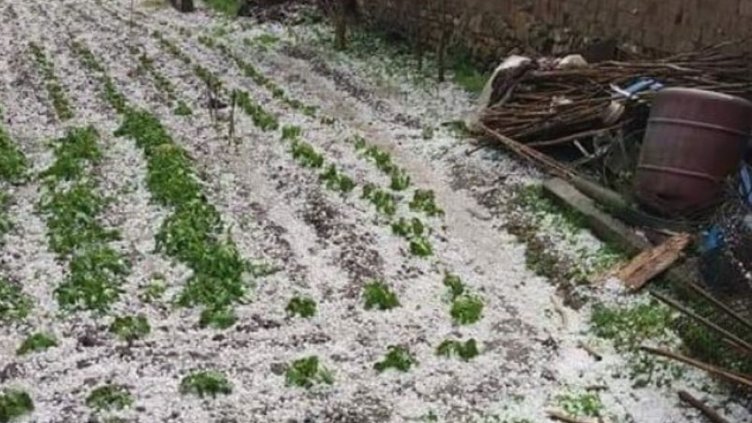 Порой с градушка потопи Пловдив, на места няма и ток