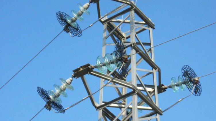 Задължават Енергото да постави птицебрани върху електрическите стълбове