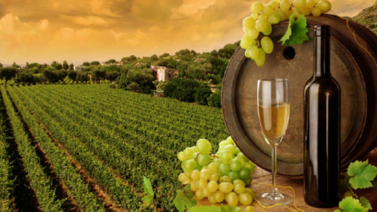 Популяризират родни кулинарни и винени дестинации