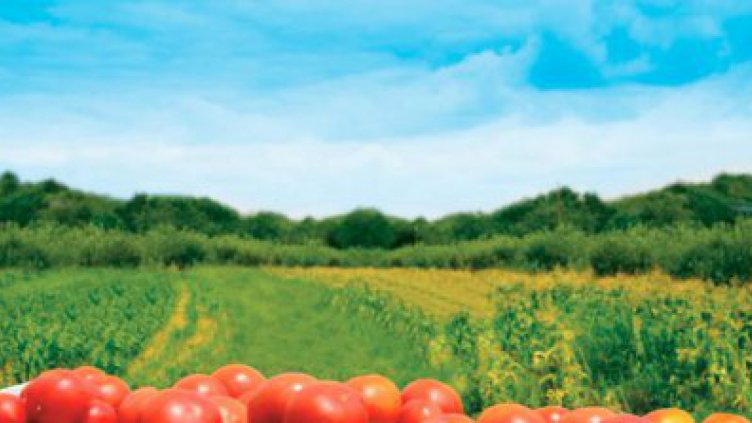 Биопроизводители губят евросубсидии заради спорна поправка в закон