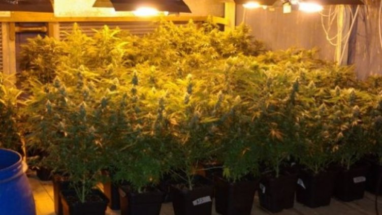 Откриха тунел към нарколаборатория в апартамент във Враца