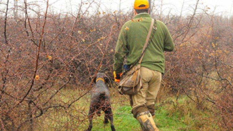 Ловци със забранени примамки задържа екип на горски инспектори 
