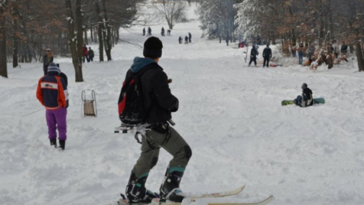 Снимка: Община Вълчи дол, архив