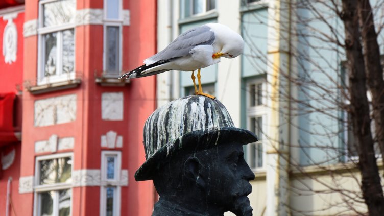 Гларуси &quot;украсиха&quot; бомбето на паметника на бивш кмет на Варна (СНИМКИ)