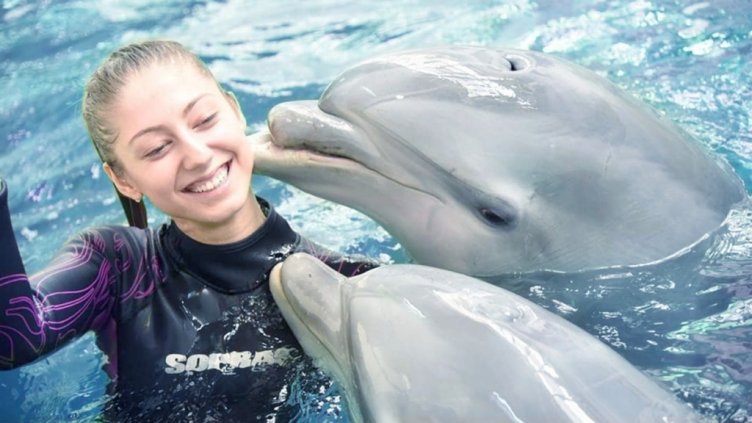 Делфинариумът във Варна връща плуването с делфини