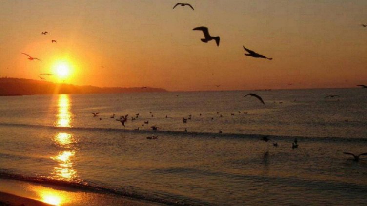 В "Утро в нашия град“ на 25 април очаквайте