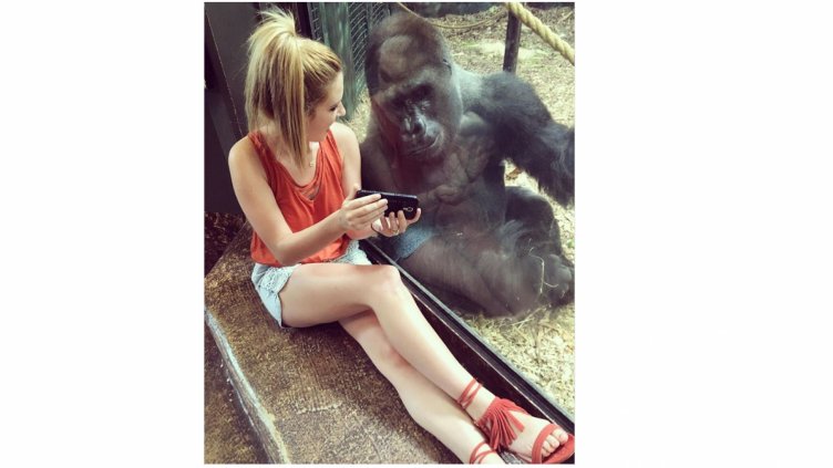 Снимка Instagram