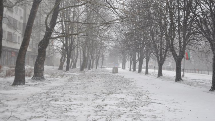 снимка: Ели Маринова