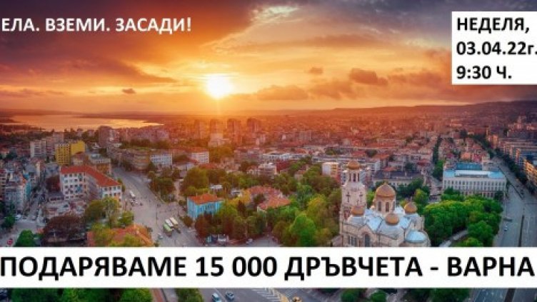 Садят 15 000 дръвчета във Варна. Търсят доброволци 