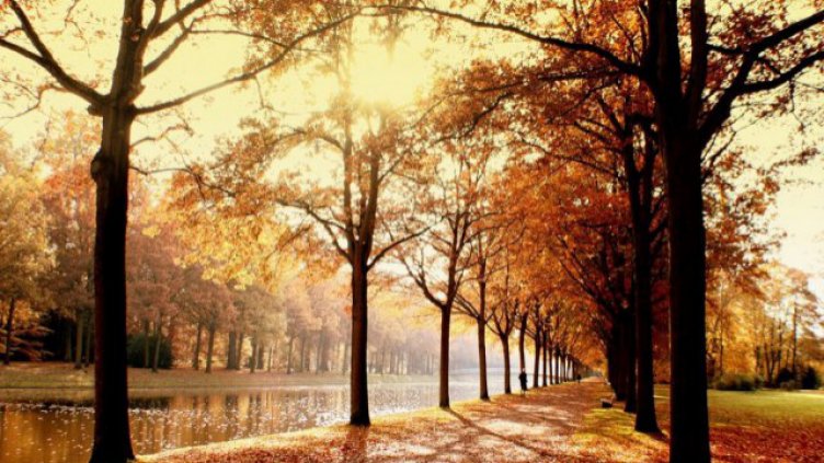 Днес ще е облачно с максимални температури между 4° и 9°