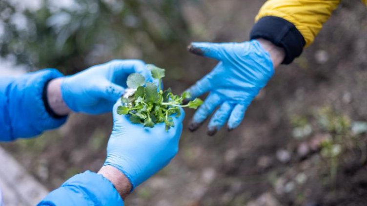 Чистят около храм „Света Петка“ следвеликденско във Варна