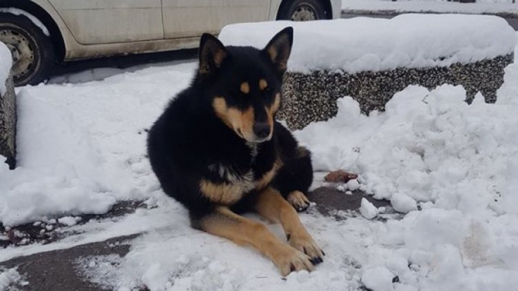 Снимка Facebook