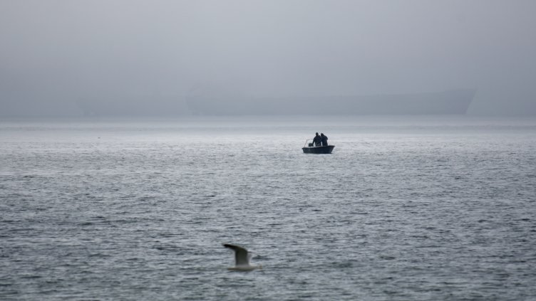 снимка: Пламен Гутинов