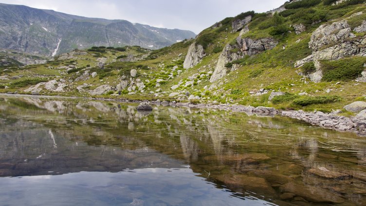 снимка: Ели Маринова