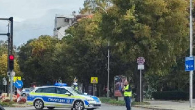 Огромно дърво падна и затапи движението в центъра на Варна